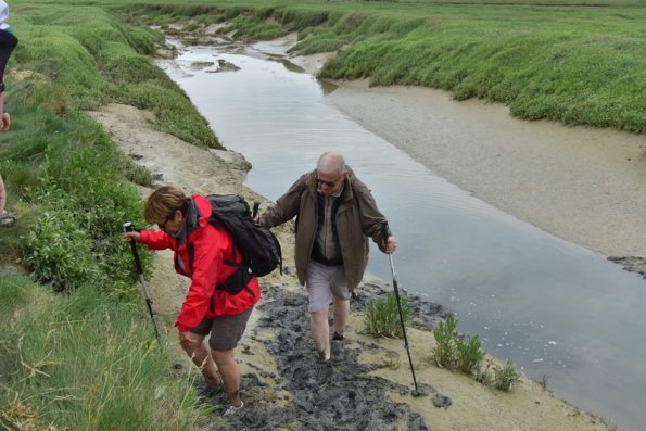 4 Baie de Somme (16)